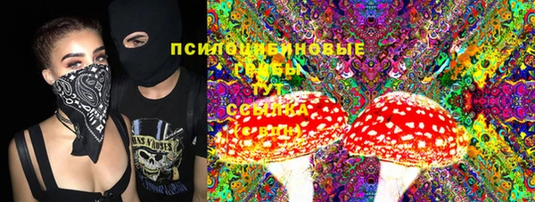крисы Балабаново