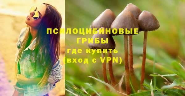 гидра Алексеевка