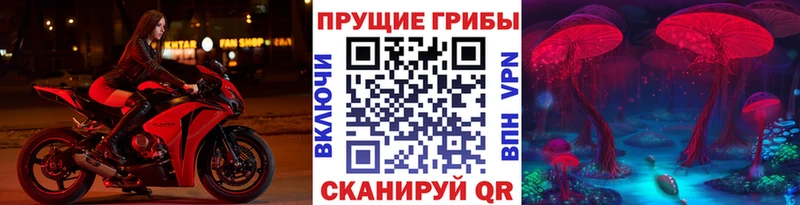 Галлюциногенные грибы GOLDEN TEACHER закладки Юрьевец